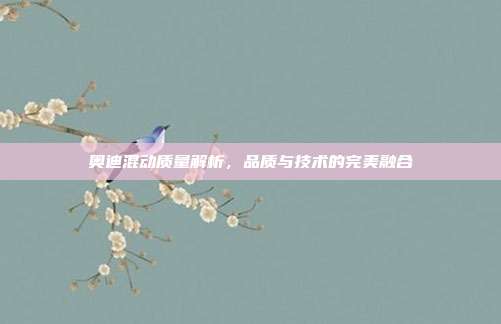 奥迪混动质量解析，品质与技术的完美融合
