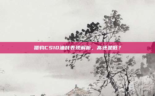 猎豹CS10油耗表现解析，高还是低？