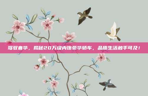 驾驭奢华，揭秘20万级内饰豪华轿车，品质生活触手可及！