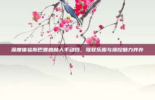 深度体验斯巴鲁森林人手动挡，驾驭乐趣与操控魅力并存