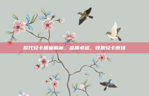 时代轻卡质量解析，品质卓越，领跑轻卡市场