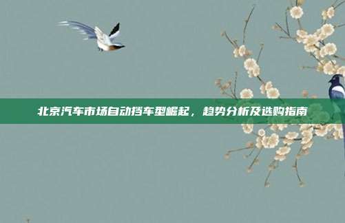 北京汽车市场自动挡车型崛起，趋势分析及选购指南