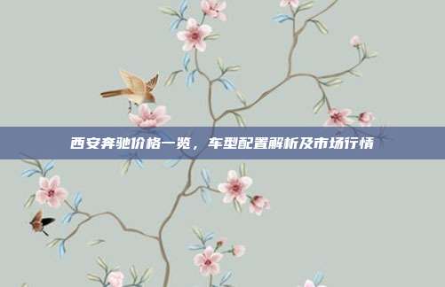 西安奔驰价格一览，车型配置解析及市场行情