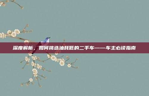 深度解析，如何挑选油耗低的二手车——车主必读指南