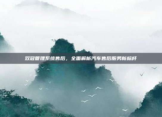 双冠管理系统售后，全面解析汽车售后服务新标杆