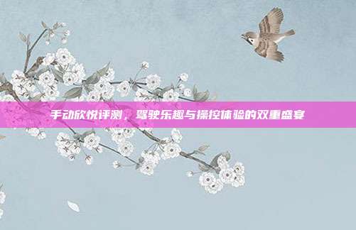 手动欣悦评测，驾驶乐趣与操控体验的双重盛宴