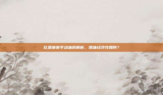 比亚迪宋手动油耗解析，燃油经济性如何？