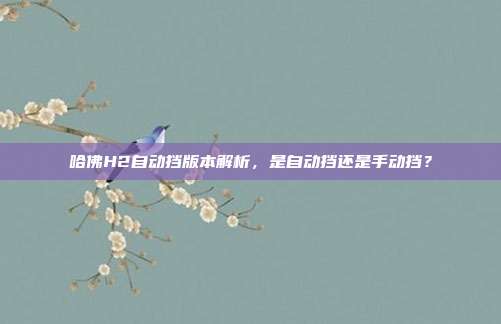 哈佛H2自动挡版本解析，是自动挡还是手动挡？