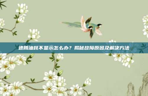 速腾油耗不显示怎么办？揭秘故障原因及解决方法