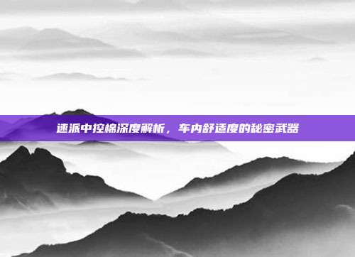 速派中控棉深度解析，车内舒适度的秘密武器