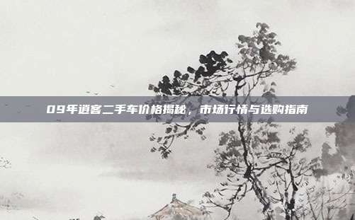 09年逍客二手车价格揭秘，市场行情与选购指南