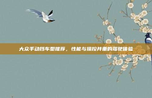 大众手动挡车型推荐，性能与操控并重的驾驶体验