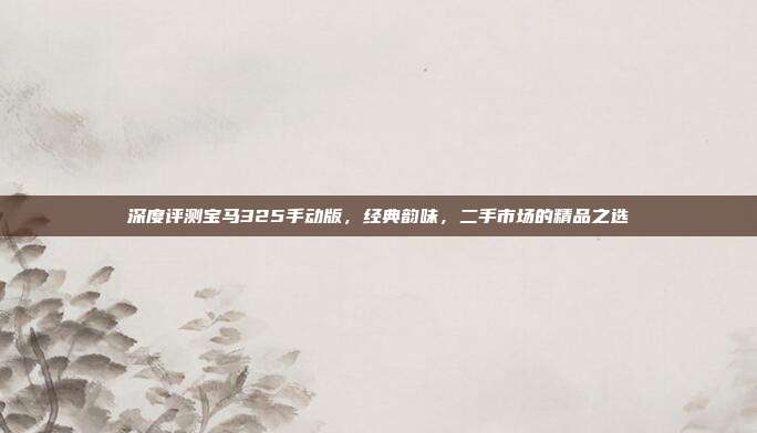 深度评测宝马325手动版，经典韵味，二手市场的精品之选