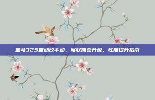 宝马325自动改手动，驾驭体验升级，性能提升指南