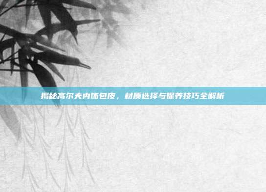 揭秘高尔夫内饰包皮，材质选择与保养技巧全解析