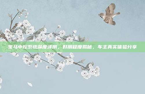 宝马中控系统深度评测，好用程度揭秘，车主真实体验分享