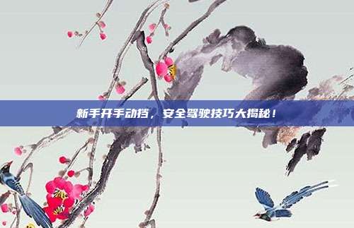 新手开手动挡，安全驾驶技巧大揭秘！