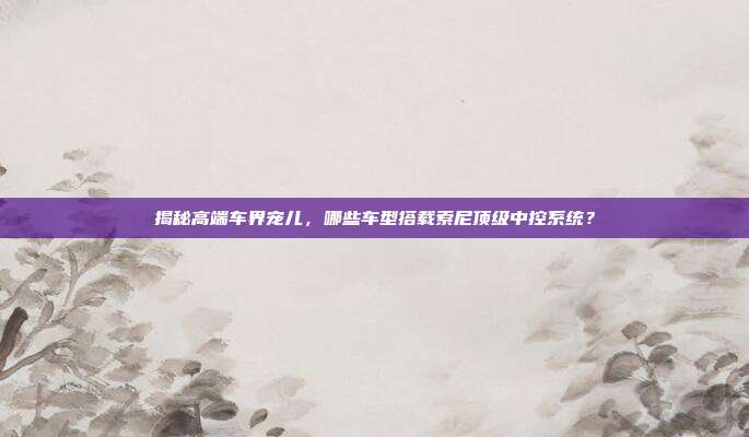揭秘高端车界宠儿，哪些车型搭载索尼顶级中控系统？