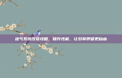 进气系统改装攻略，提升性能，让引擎呼吸更自由