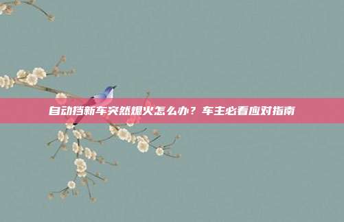自动挡新车突然熄火怎么办？车主必看应对指南