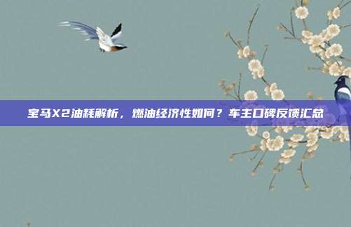 宝马X2油耗解析，燃油经济性如何？车主口碑反馈汇总