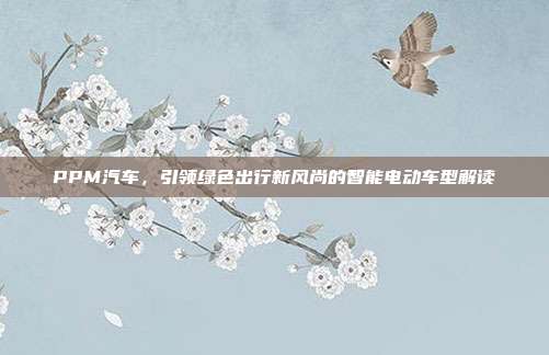 PPM汽车，引领绿色出行新风尚的智能电动车型解读