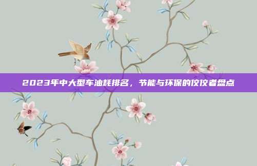 2023年中大型车油耗排名，节能与环保的佼佼者盘点