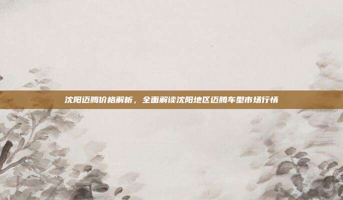 沈阳迈腾价格解析，全面解读沈阳地区迈腾车型市场行情