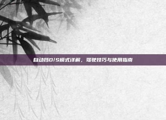 自动挡D/S模式详解，驾驶技巧与使用指南