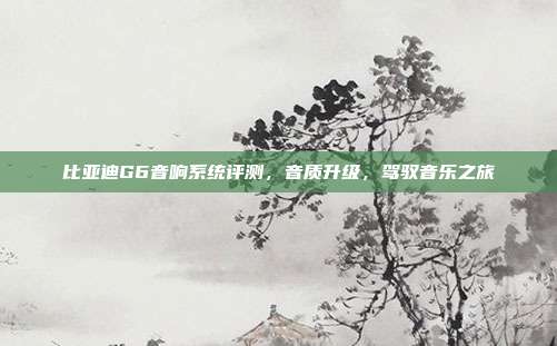 比亚迪G6音响系统评测，音质升级，驾驭音乐之旅