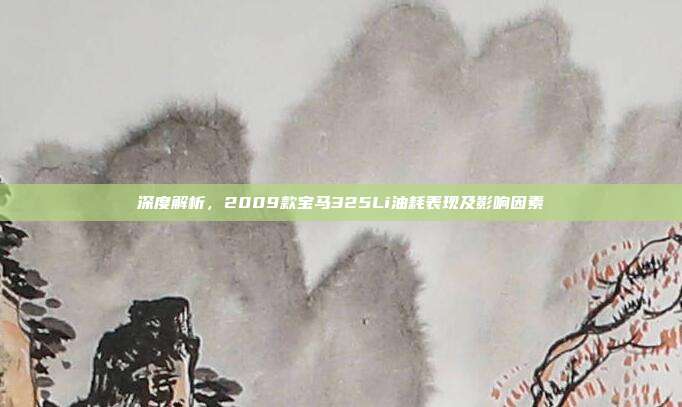 深度解析，2009款宝马325Li油耗表现及影响因素