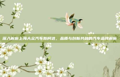 深入解析上海大众汽车斯柯达，品质与创新共融的汽车品牌解析