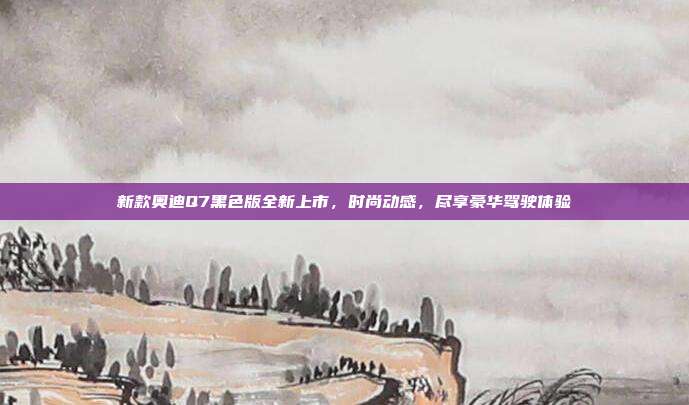 新款奥迪Q7黑色版全新上市，时尚动感，尽享豪华驾驶体验