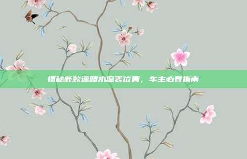 揭秘新款速腾水温表位置，车主必看指南