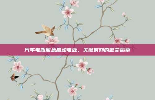 汽车电瓶应急启动电源，关键时刻的救命稻草