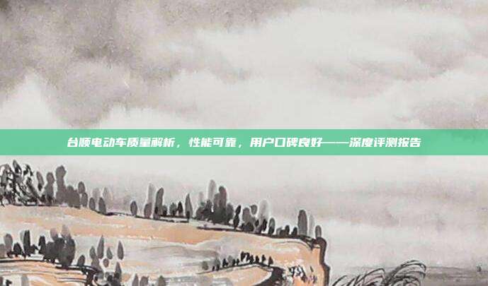 台顺电动车质量解析，性能可靠，用户口碑良好——深度评测报告