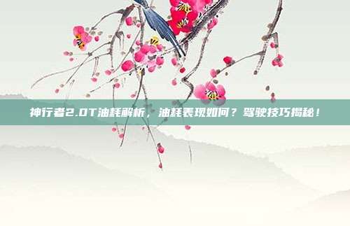 神行者2.0T油耗解析，油耗表现如何？驾驶技巧揭秘！