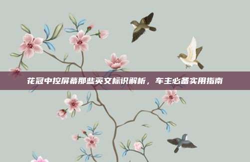花冠中控屏幕那些英文标识解析，车主必备实用指南