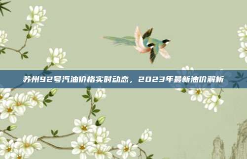 苏州92号汽油价格实时动态，2023年最新油价解析