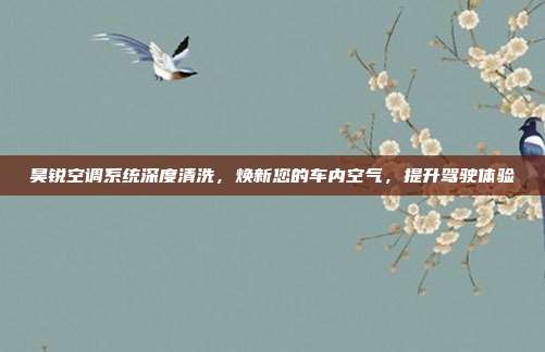 昊锐空调系统深度清洗，焕新您的车内空气，提升驾驶体验