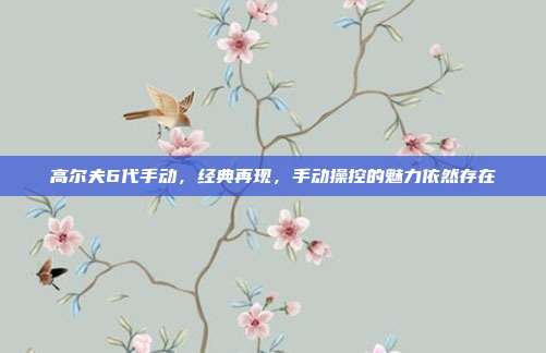 高尔夫6代手动，经典再现，手动操控的魅力依然存在
