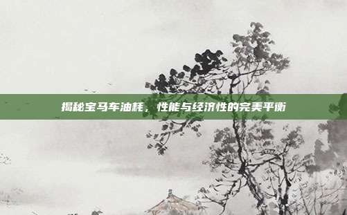 揭秘宝马车油耗，性能与经济性的完美平衡