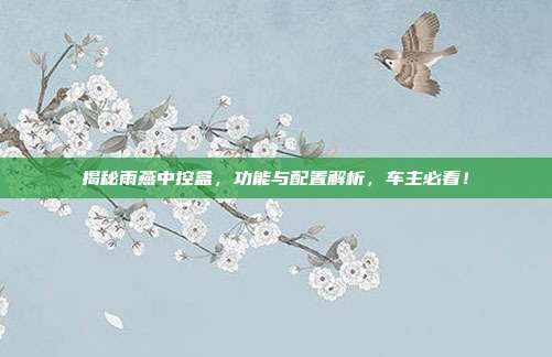 揭秘雨燕中控盒，功能与配置解析，车主必看！