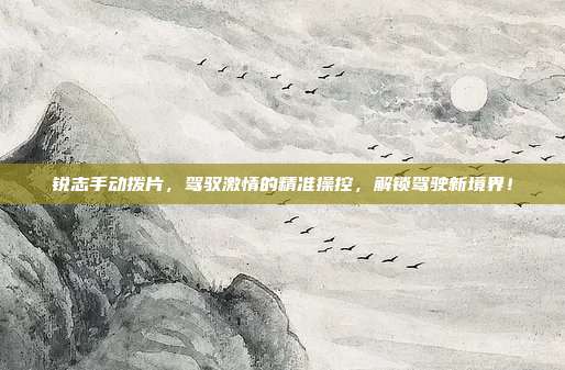 锐志手动拨片，驾驭激情的精准操控，解锁驾驶新境界！
