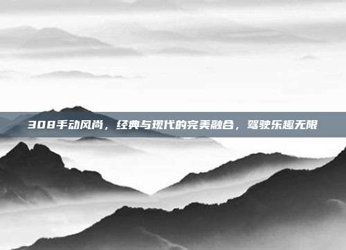 308手动风尚，经典与现代的完美融合，驾驶乐趣无限
