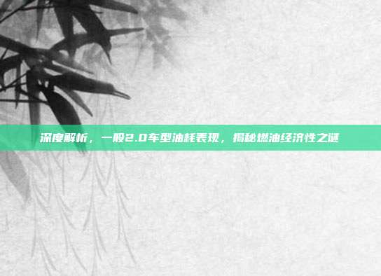 深度解析，一般2.0车型油耗表现，揭秘燃油经济性之谜