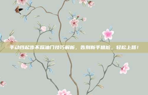 手动挡起步不踩油门技巧解析，告别新手尴尬，轻松上路！