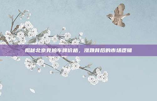 揭秘北京竞拍车牌价格，涨跌背后的市场逻辑