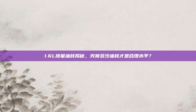 1.6L排量油耗揭秘，究竟多少油耗才是合理水平？