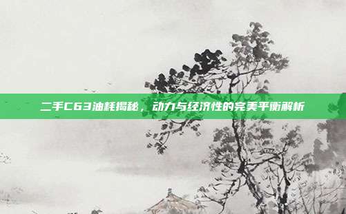 二手C63油耗揭秘，动力与经济性的完美平衡解析